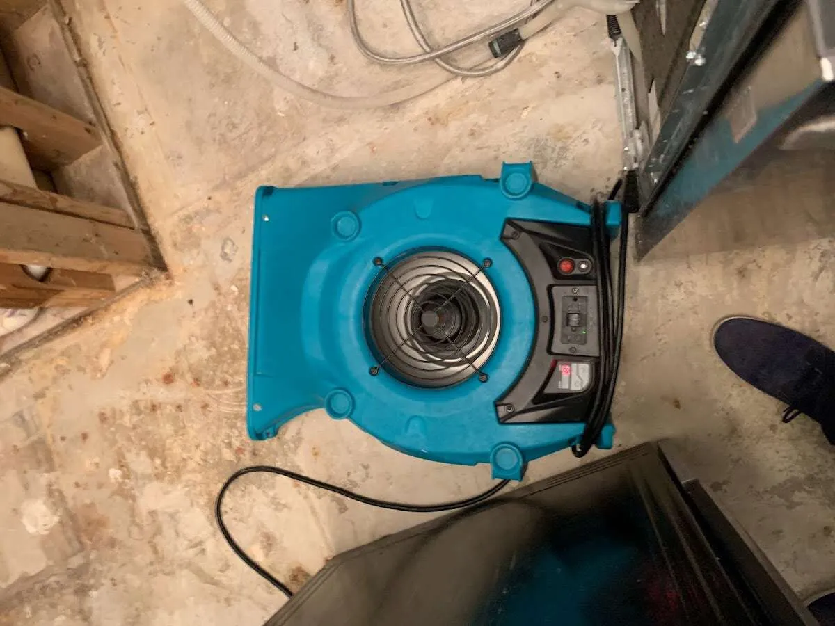 Air mover drying equipment for Mold Remediation & Removal in Chicopee