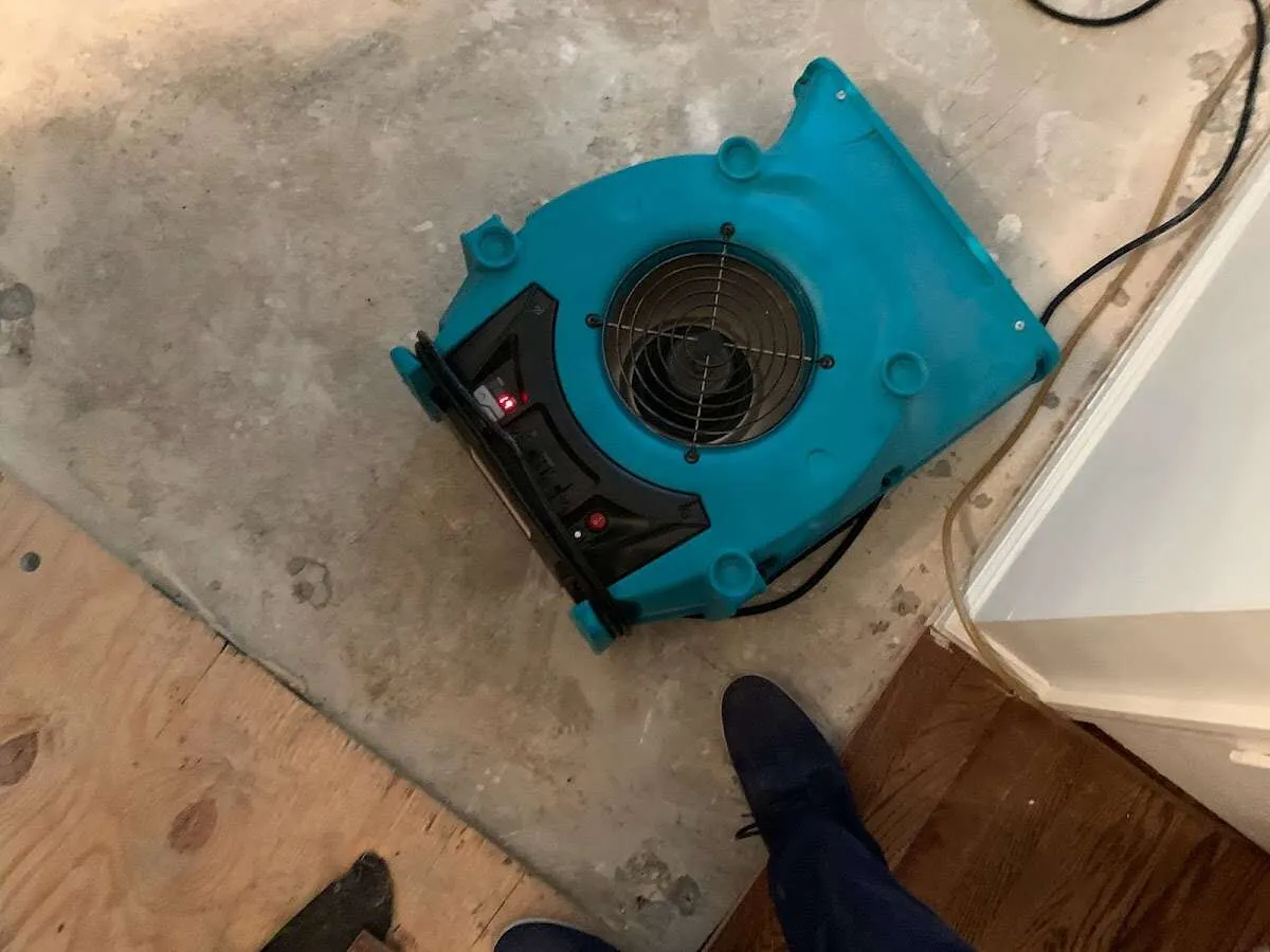 Air mover drying subfloor during Leak Detection & Repair in Chicopee